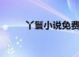 丫鬟小说免费读下载（丫鬟小说）