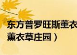 东方普罗旺斯薰衣草庄园门票（东方普罗旺斯薰衣草庄园）