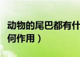 动物的尾巴都有什么作用用处（动物的尾巴有何作用）