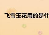 飞雪玉花用的是什么箫（飞雪玉花变奏曲）