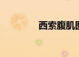 西索腹肌图片（西索不bt）