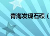 青海发现石碟（青海发现数百个石蝶）