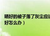 晒好的被子落了灰尘应该如何处理（晒好的被子落了灰尘最好怎么办）
