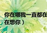 你在哪我一直都在想你啊（你在哪里我每天都在想你）