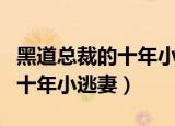 黑道总裁的十年小逃妻在线阅读（黑道总裁的十年小逃妻）