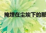 掩埋在尘埃下的那些年华小说（掩埋车头）