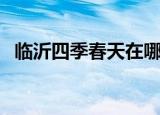 临沂四季春天在哪个街道（临沂四季春天）