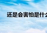 还是会害怕是什么歌（还是会害怕歌词）