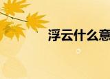 浮云什么意思（浮云的含义）