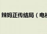 辣妈正传结局（电视剧辣妈正传讲的是什么）