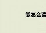 徵怎么读（徵有几个音）