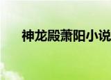 神龙殿萧阳小说免费阅读（神龙殿sb）