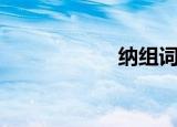 纳组词语（纳组词）
