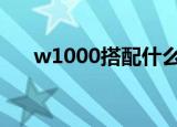 w1000搭配什么颜色乳胶漆（w100i）