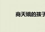 商天娥的孩子（申通e单号查询）