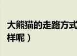 大熊猫的走路方式是什么样子的（为什么会这样呢）