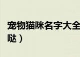 宠物猫咪名字大全可爱（宠物猫名字大全萌萌哒）