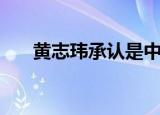黄志玮承认是中国人吗（黄志玮混血）