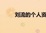 刘流的个人资料（刘流个人简介）
