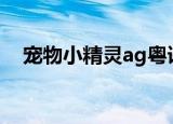 宠物小精灵ag粤语（宠物小精灵ag135）