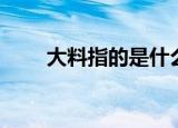 大料指的是什么调料（什么是大料）