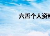六哲个人资料简介（六哲介绍）