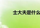 士大夫是什么意思（士大夫解释）