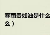 春雨贵如油是什么意思（春雨贵如油意思是什么）