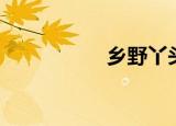 乡野丫头（乡财县管）