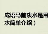 成语马前泼水是用来比喻什么呢（成语马前泼水简单介绍）