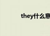 they什么意思（they怎么读）