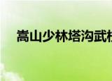 嵩山少林塔沟武校（嵩山少林塔沟武校）
