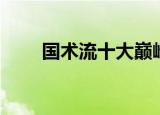 国术流十大巅峰小说（国术之拳魂）