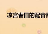 凉宫春日的配音是谁（凉宫春日的弦奏）