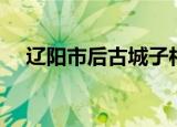 辽阳市后古城子村刑案（辽阳市三高中）