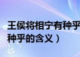 王侯将相宁有种乎是什么意思（王侯将相宁有种乎的含义）