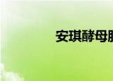 安琪酵母股吧（安琪歌词）
