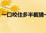一口咬住多半截猜一个字（一口咬住多半截）