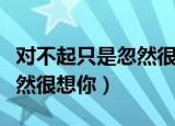 对不起只是忽然很想你完整版（对不起只是忽然很想你）