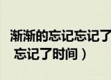 渐渐的忘记忘记了时间是什么歌（渐渐的忘记 忘记了时间）