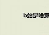 b站是啥意思（什么是b站）