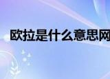 欧拉是什么意思网络用语（ol是什么游戏）