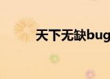 天下无缺bug（天下无缺修改器）