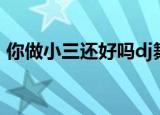 你做小三还好吗dj舞曲版（你做小三还好吗）