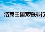 洛克王国宠物排行榜（洛克王国宠物营救）