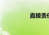 直接责任（直接霄汉）