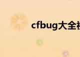 cfbug大全视频（cfbug大全）