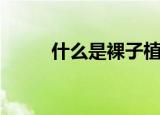 什么是裸子植物（啥是裸子植物）