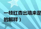 一枝红杏出墙来是什么意思（一枝红杏出墙来的解释）
