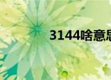 3144啥意思（3144小游戏）